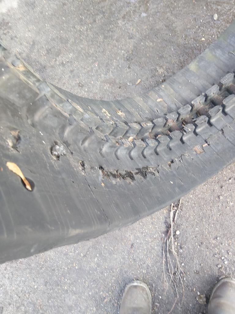 Rupsband zgan, Ophalen