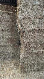 Hooi, Ophalen of Verzenden, Vee