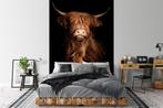 Fotobehang / Behang - Dieren - Schotse Hooglander, Verzenden, Bruin, Minder dan 10 m², Info@fotobehangkoning.nl