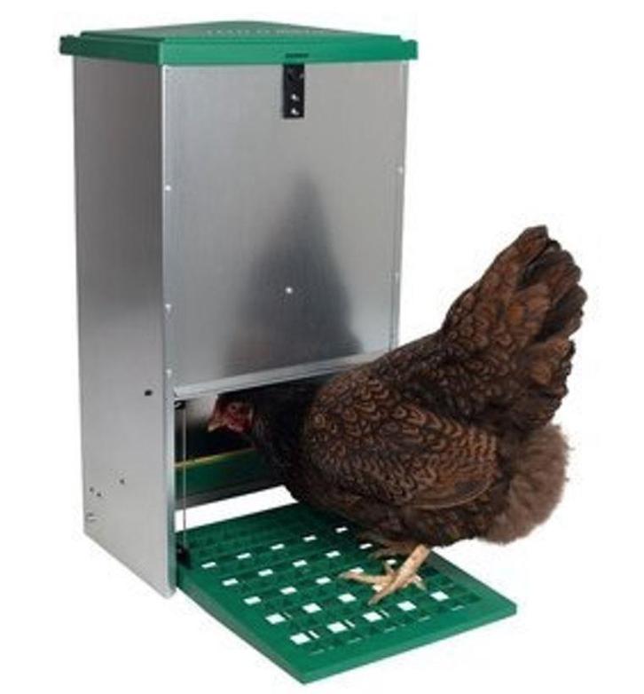 Trapbak voertrog kippen en pluimvee voerbak, Dieren en Toebehoren, Pluimvee | Toebehoren, Nieuw, Drinken en Voederen, Verzenden
