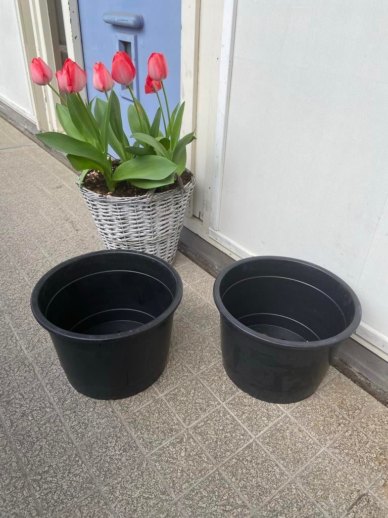 2x Boomkuip plantenkuip plantenbak - kweekbak moestuin, Ophalen, Kunststof, Gebruikt, Minder dan 30 cm