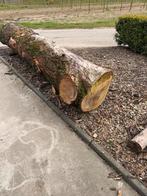 Mooi iepen stam 380x70 cm, Tuin en Terras, Haardhout, Minder dan 3 m³, Ophalen