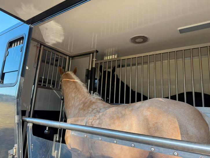 Paardentaxi - paardenwagen - vervoer, Dieren en Toebehoren, Stalling en Weidegang, Toebehoren, 1 paard of pony