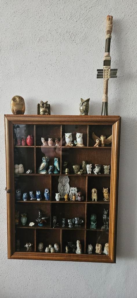 Uilen voor verzamelaar, Ophalen