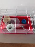 Hamsterkooi, Ophalen, Minder dan 75 cm, Kooi, Minder dan 60 cm