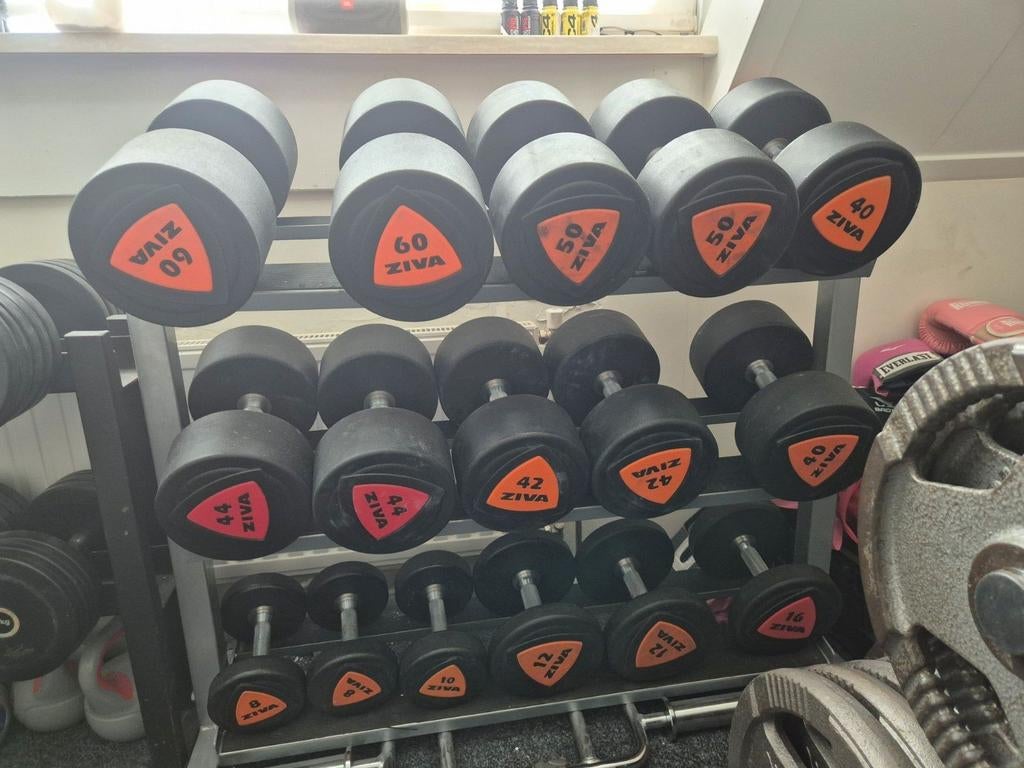 IkZoek ziva dumbels, Ophalen