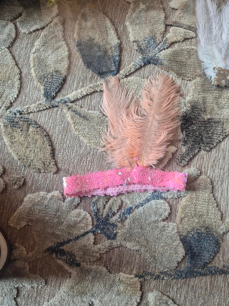 Veren en haarband met pailletten, Ophalen of Verzenden, Nieuw