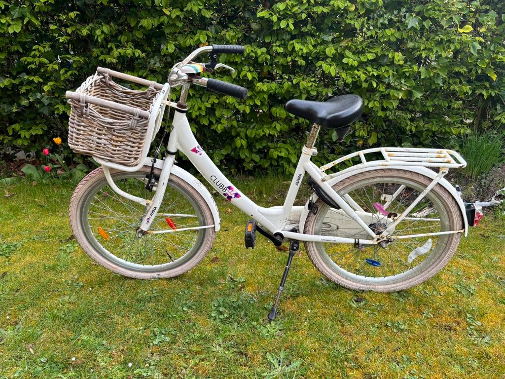 Alpina Clubb 22 inch meisjesfiets, Ophalen, Gebruikt, 22 inch, Handrem