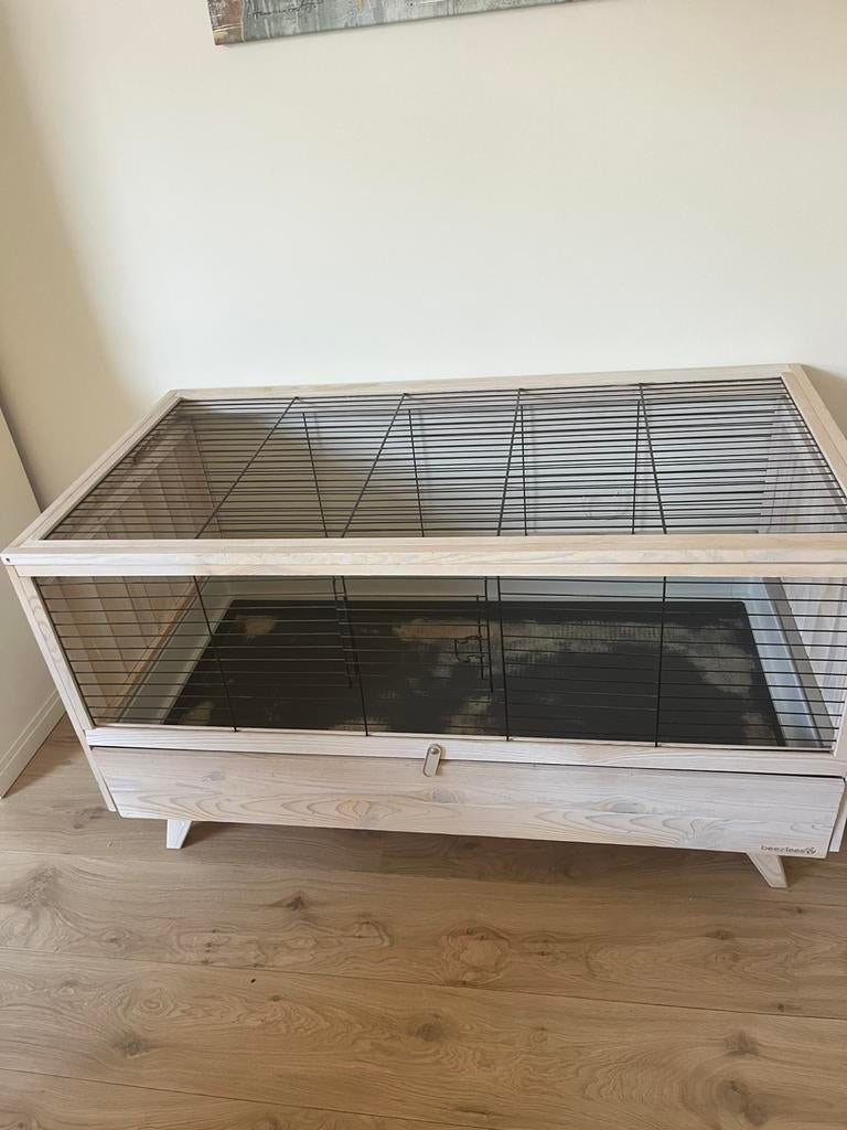 Mooie cavia kooi met accessoires, Dieren en Toebehoren, Knaagdieren en Konijnen | Hokken en Kooien, Gebruikt, Hok, Minder dan 60 cm