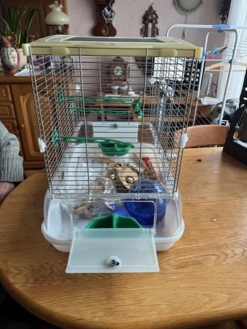 vogel kooi, Ophalen, Zo goed als nieuw, Kunststof, Vogelkooi