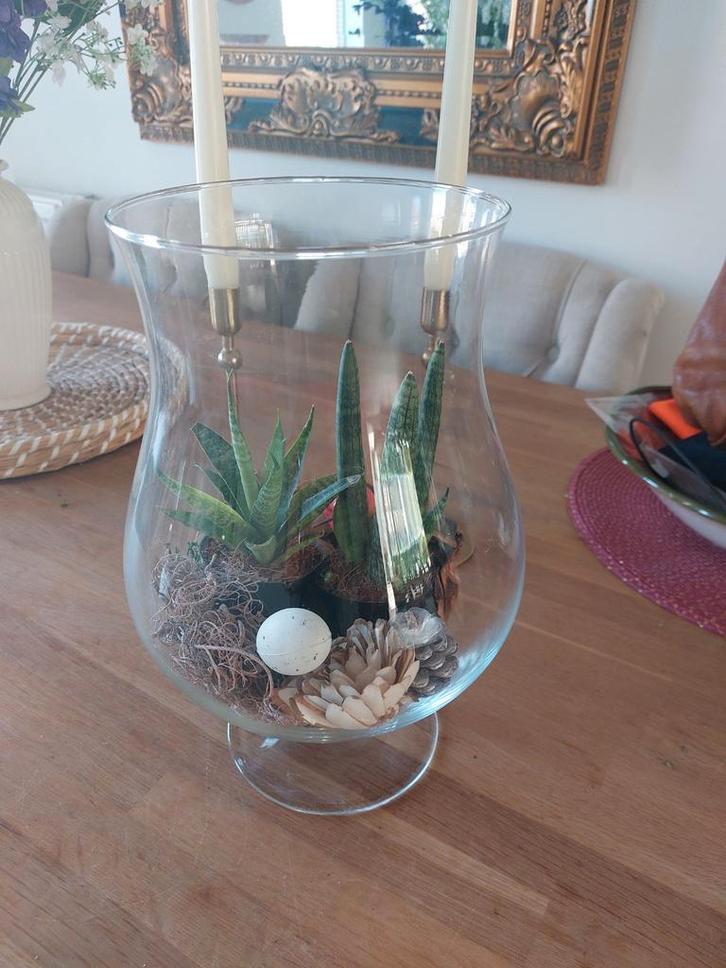 Glazen vaas met plantjes en decoratie, Huis en Inrichting, Woonaccessoires | Vazen, Zo goed als nieuw, Overige kleuren, Minder dan 50 cm