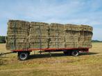 Te koop: mooie grote pakken strooisel hooi, Dieren en Toebehoren, Dierenvoeding, Ophalen, Vee