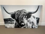 Canvas schotse hooglander afhaal €10,-, Ophalen, Zo goed als nieuw, Schilderij, 75 cm of meer