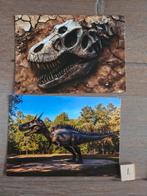 OPRUIMING DINOSAURUS 1, Ophalen, Paard