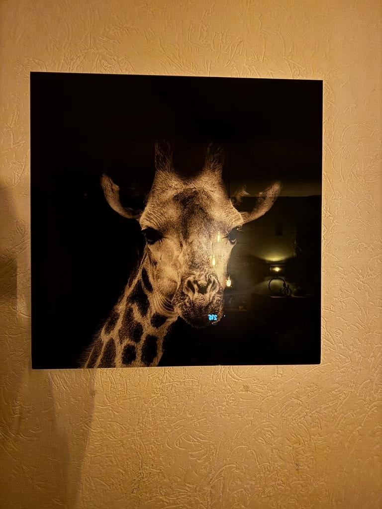 Glazen wandschilderij, Ophalen, Gebruikt, Schilderij, 75 tot 100 cm