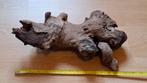 aquariumhout kienhout 37cm, Ophalen, Plant(en), Steen of Hout