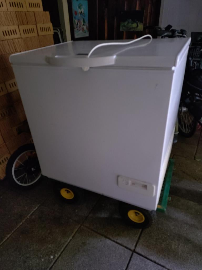 Goedwerkende diepvrieskist, Witgoed en Apparatuur, Vriezers en Diepvrieskisten, Ophalen, 85 tot 120 cm