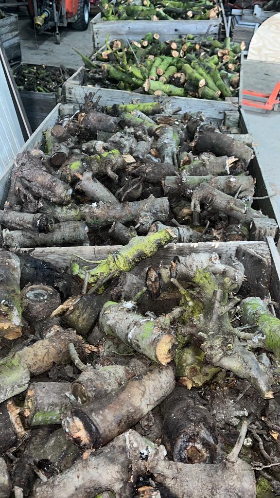 Openhaardhout, Tuin en Terras, Haardhout, 6 m³ of meer, Ophalen, Overige houtsoorten, Blokken