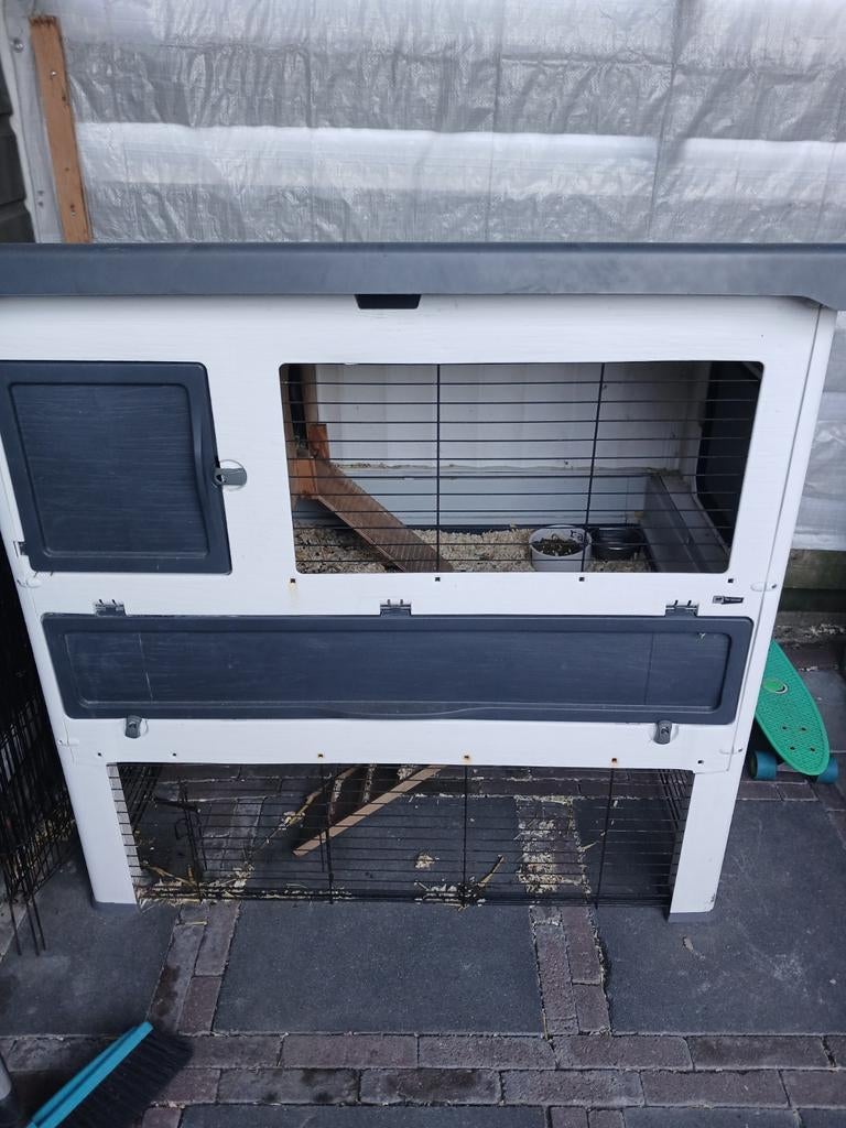 Konijnhok met lief konijn, Ophalen, Konijn