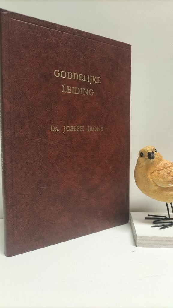 Irons, Ds. Joseph; Goddelijke leiding, Ophalen of Verzenden, Gelezen, Christendom | Protestants