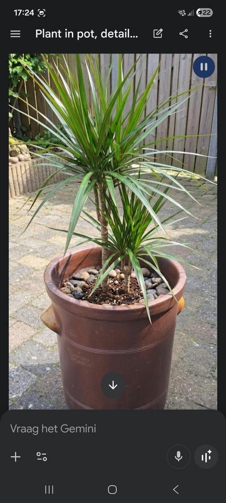 Pot Ribbertwerke 50 liter, Ophalen