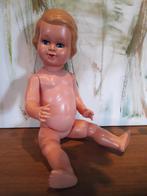 Mooie Antieke Duitse Storch Celluloid Pop, Ophalen of Verzenden