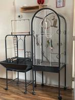 Vogels met kooi en diverse toebehoren, Dieren en Toebehoren, Vogels | Hokken en Kooien, Ophalen, Zo goed als nieuw, Metaal, Vogelkooi