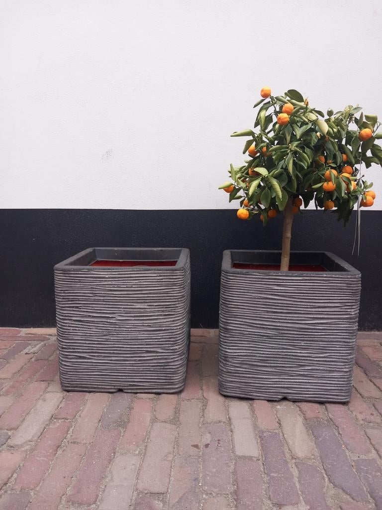 2 vierkant capi bloempotten inclusief sinasappel boompje, Ophalen, Vierkant, Kunststof