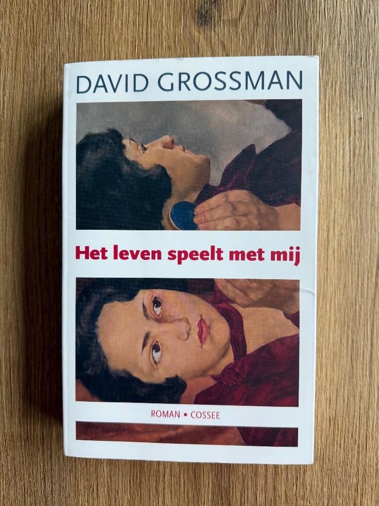 Het leven speelt met mij, Boeken, Wereld overig, Ophalen of Verzenden, Zo goed als nieuw, David Grossman