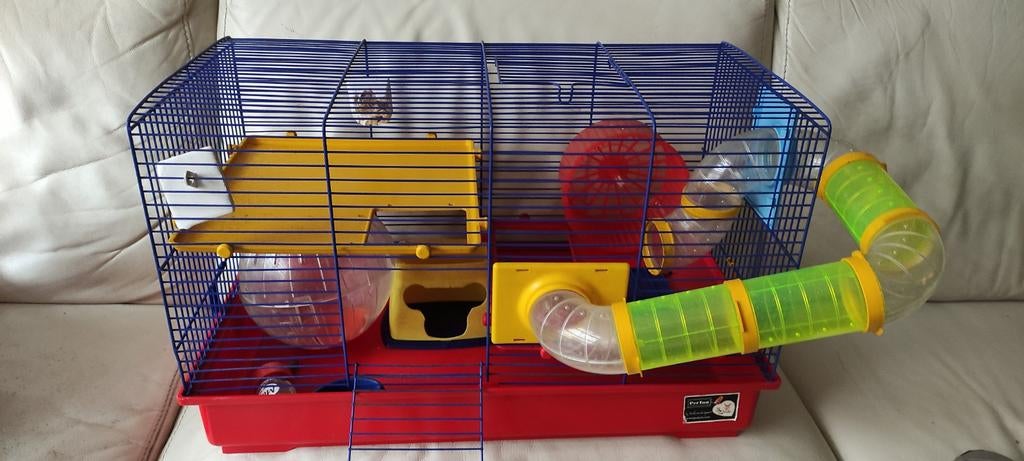 Hamster cavia kooi,fitnesscentrum voor hamsters  55 x 30 cm, Ophalen, Minder dan 75 cm, Kooi, Minder dan 60 cm