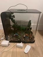 Aquarium Biorb 30L, Dieren en Toebehoren, Vissen | Aquaria en Toebehoren, Ophalen of Verzenden, Gebruikt, Leeg aquarium