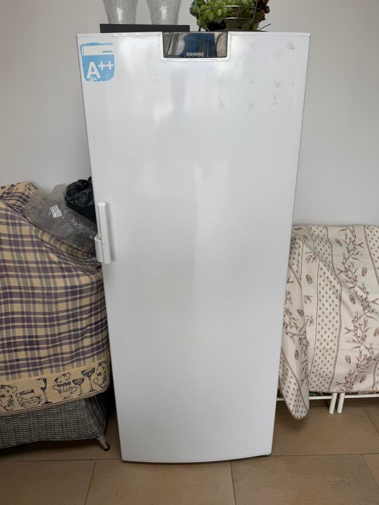 Vrieskast (gratis), Witgoed en Apparatuur, Vriezers en Diepvrieskisten, Gebruikt, Minder dan 60 cm, 160 cm of meer, Vrijstaand