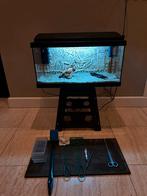 Aquarium 60 cm, 54 liter, Dieren en Toebehoren, Ophalen of Verzenden