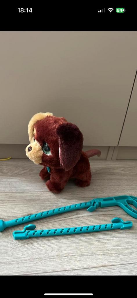 Fur real speelgoed hondje, Ophalen