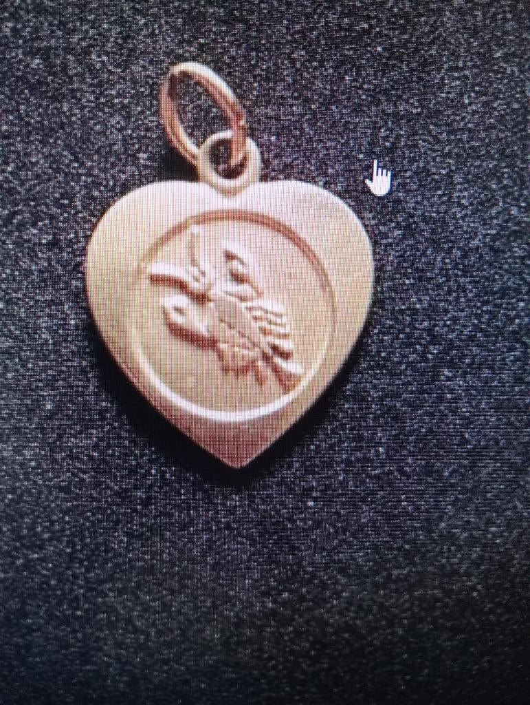 Goud vergulden horescoop Hanger, Ophalen of Verzenden, Zo goed als nieuw, Goud, Overige materialen