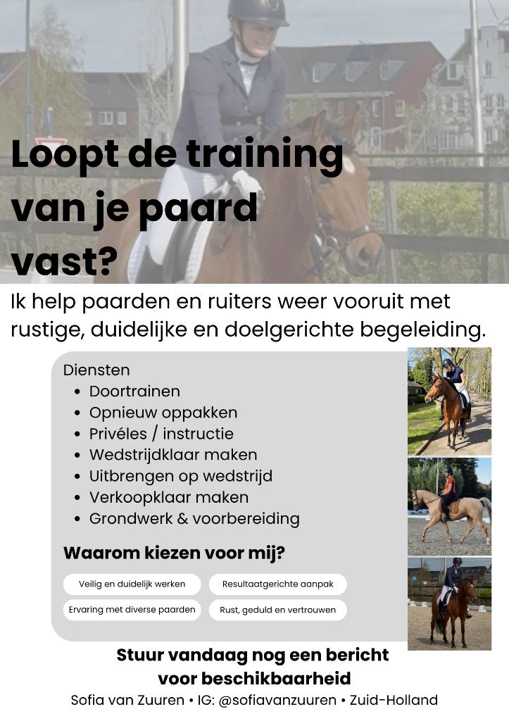 Paardentraining & Privéles | Zuid-Holland, Ophalen, Nieuw