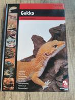 Gekko: Handboek en naslagwerk - Jan-Cor Jacobs, Ophalen of Verzenden, Zo goed als nieuw, Reptielen of Amfibieën, Jan-Cor Jacobs