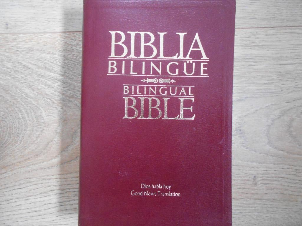 Biblia Billingüe Billingual Bible, Ophalen of Verzenden, Zo goed als nieuw, Christendom | Protestants