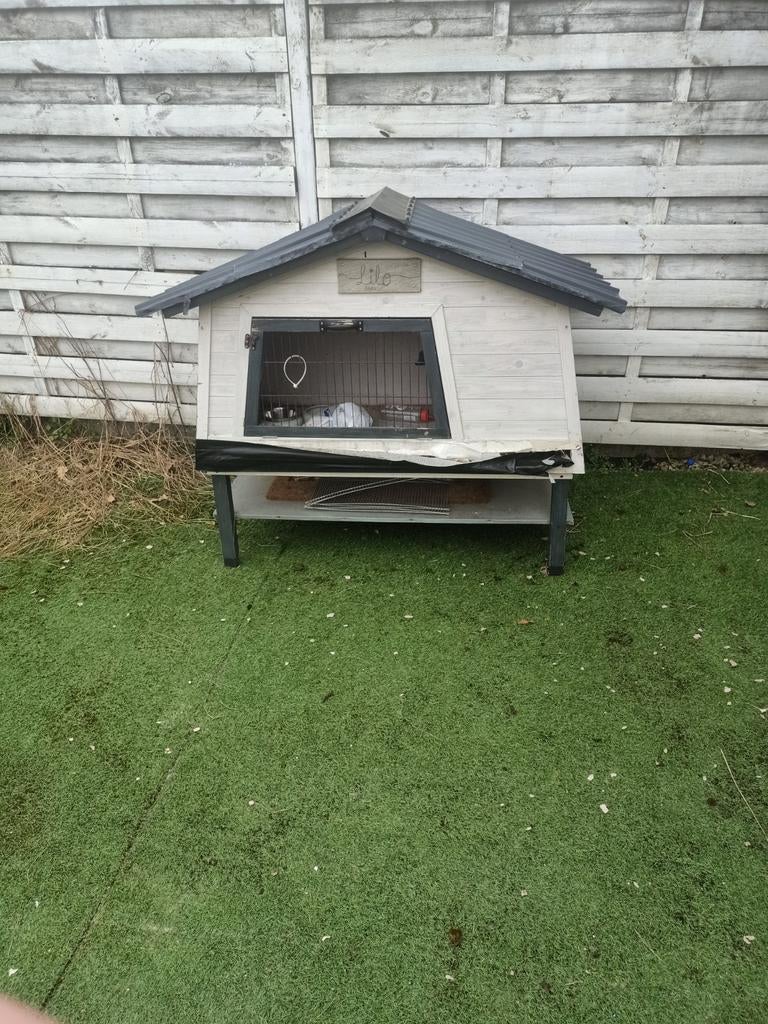 Konijnen kooi, Ophalen, 60 tot 90 cm, Konijn, Hok