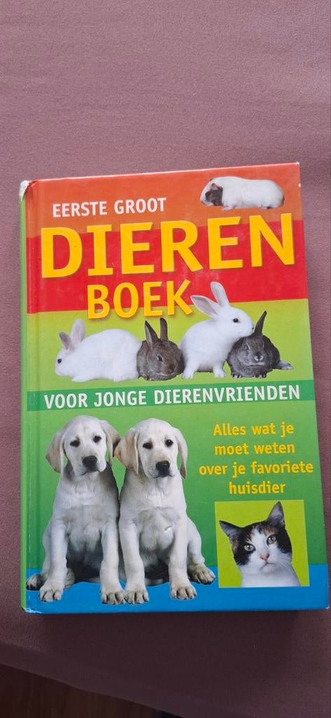 Eerste groot dierenboek, Ophalen of Verzenden, Gelezen, Konijnen of Knaagdieren