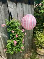 Lampion tuinverlichting lampion solar roze wit gestreept, Overige materialen, Wit, Ophalen of Verzenden, Zo goed als nieuw