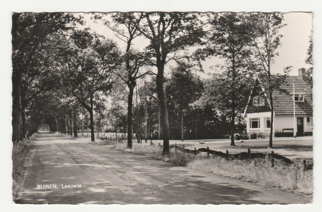 Ruinen (bij Hoogeveen) - Leeuwte, Verzenden, 1960 tot 1980, Gelopen, Drenthe