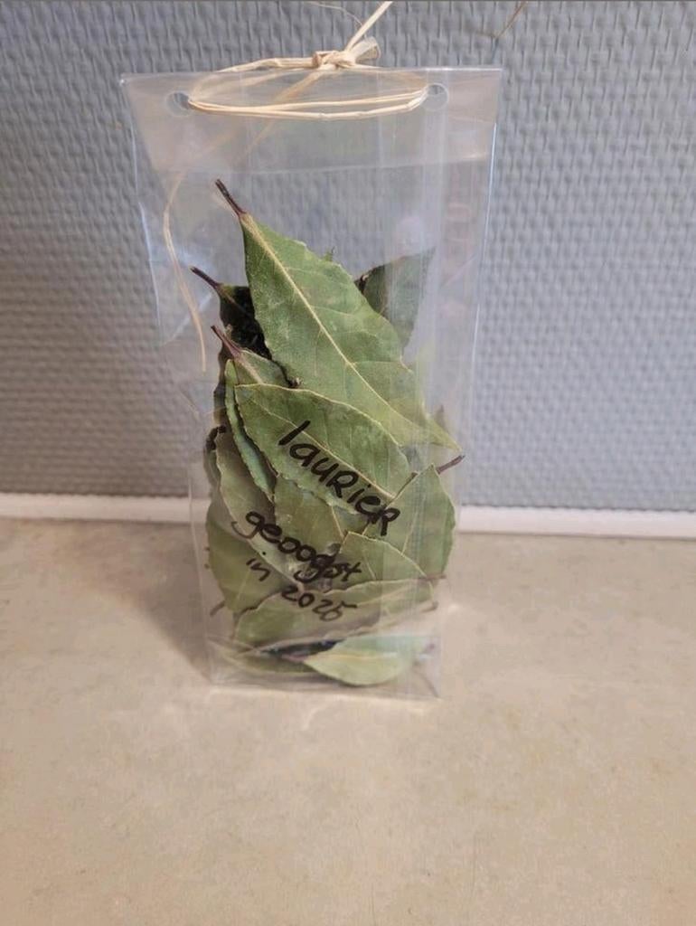 Gedroogde laurier 20 gram biologisch, Ophalen, Volle zon, Minder dan 100 cm
