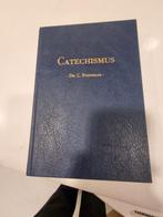 Dr. C. Steenblok. Catechismus. Zondag 1-14,19 en 32, Boeken, Ophalen of Verzenden, Gelezen, Christendom | Protestants