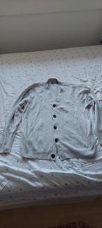 vest heren xl, Ophalen of Verzenden, Grijs, Primark, Maat 56/58 (XL)