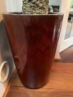 Plantenpot binnen bruinrood, Ophalen, Overige soorten, Halfschaduw, In pot