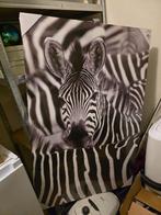 Zebra Schilderij 75 x 115 cm, Ophalen, Nieuw