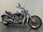 Harley-Davidson VRSCA V-ROD (bj 2002), Chopper, Bedrijf, 1131 cc