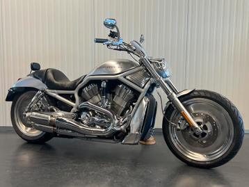 Harley-Davidson VRSCA V-ROD (bj 2002) beschikbaar voor biedingen