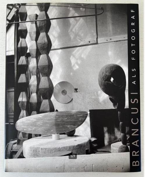 Brancusi als fotograf - Ein Bildhauer fotografiert sein werk, Boeken, Kunst en Cultuur | Beeldend, Zo goed als nieuw, Beeldhouwkunst